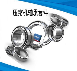 螺桿壓縮機(jī)軸承套件
